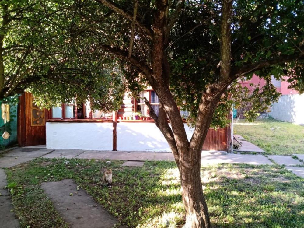 Casa Mandala alojamiento Bolsón - 4