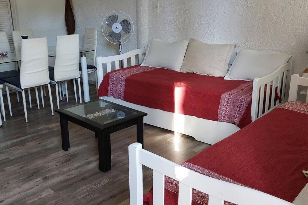 Apartamento con entrada independiente y jardín - 4