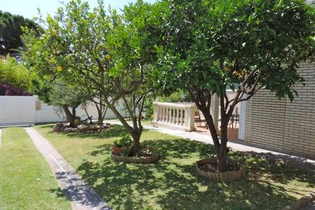 Homing Cambrils 23, Cambrils