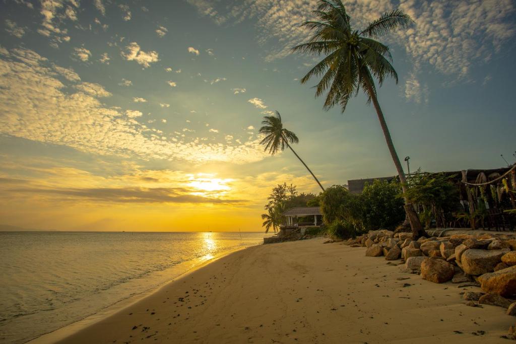 Absolute Beachfront Villas photo