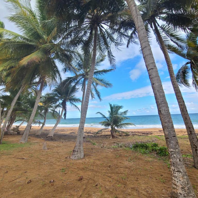 Parador Maunacaribe - Maunabo photo
