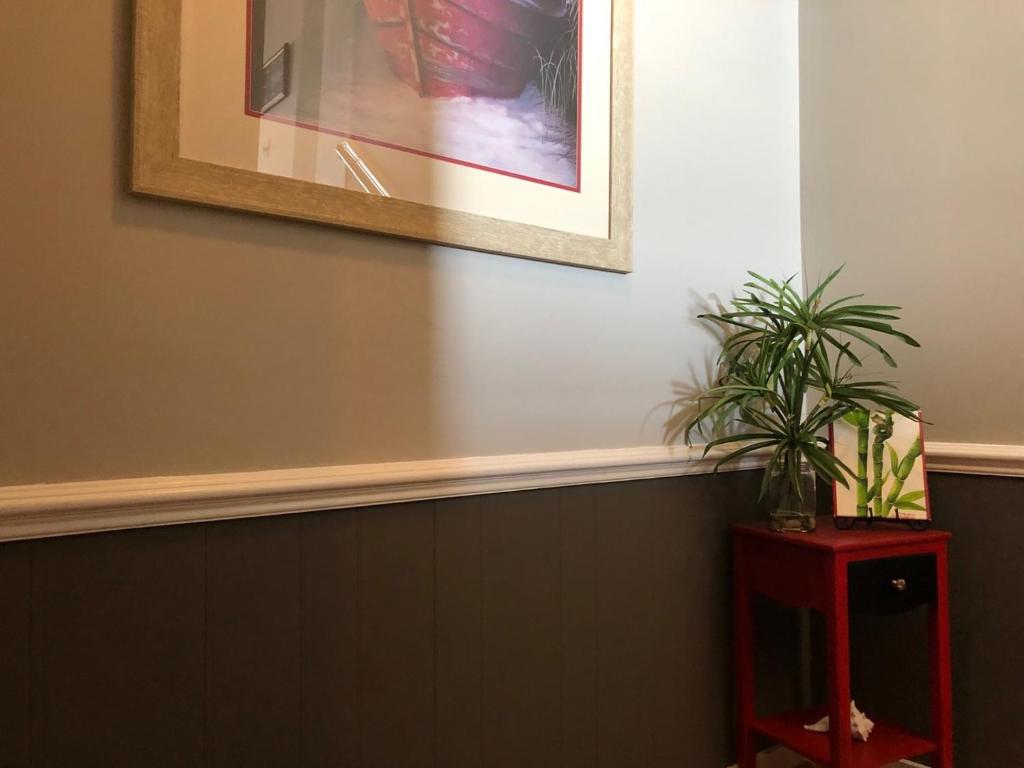 Dune Nuttin, Oak Island