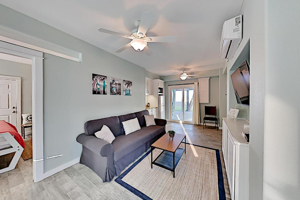 Lost Colony Lost Sea Turtle, Port Aransas