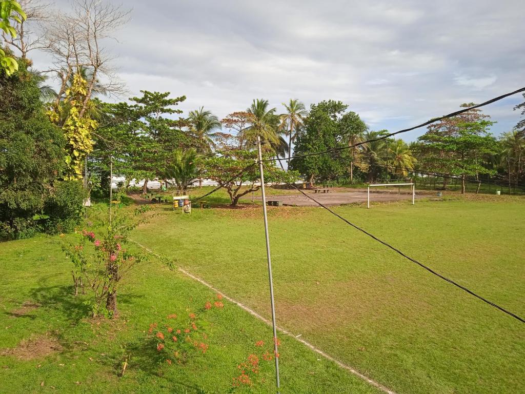 La Casona de Tortuguero photo