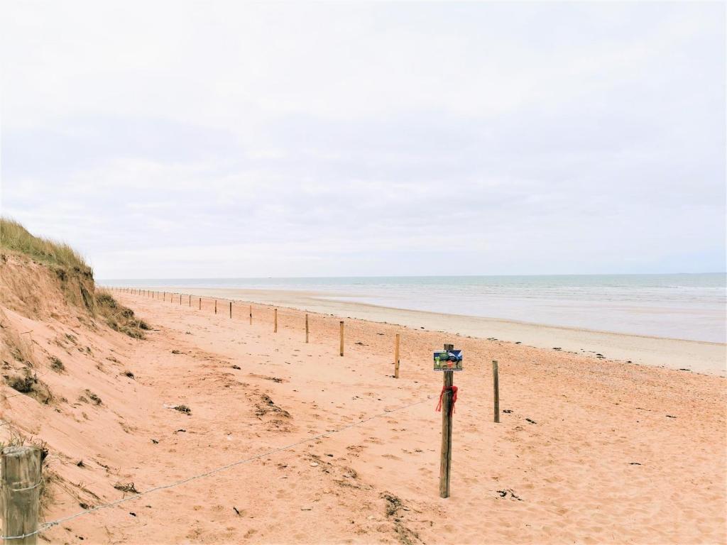 Les Jacinthes - 2
