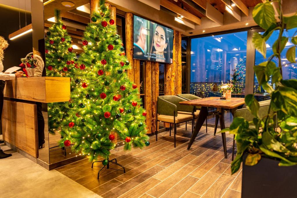 Hotel Forest - 2