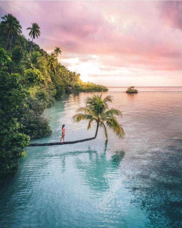 Nyande Raja Ampat photo