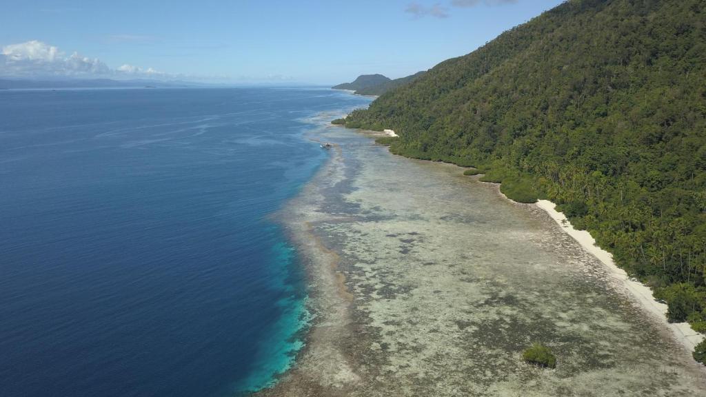 Nyande Raja Ampat photo