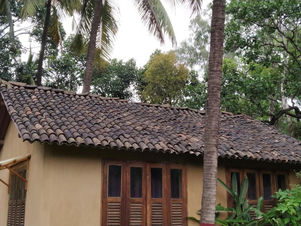 Exterior view