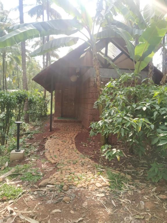 Surrounding environment