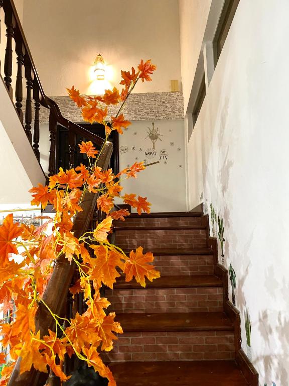 Tabi Homestay Hue 호텔 이미지 1
