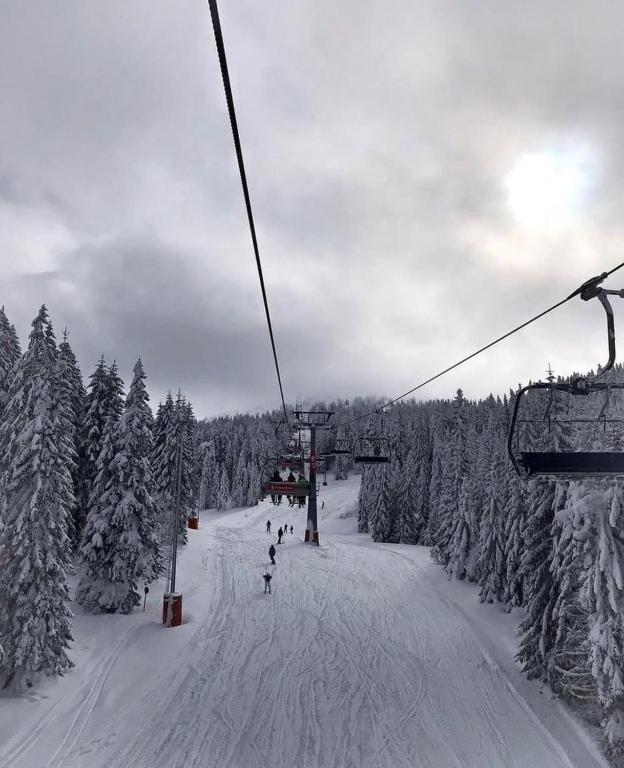 Milmari Future Gold Apartmani Kopaonik - 4