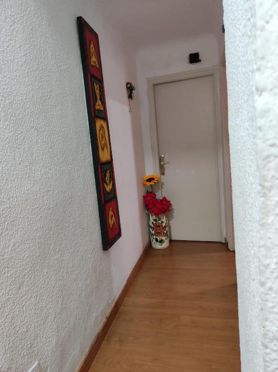 aparment puerto Alto photo