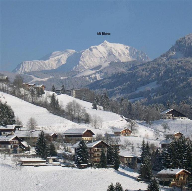 Chalet Mon Idole Spa - 3