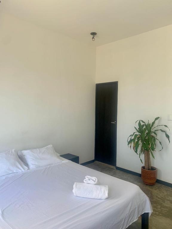 Zion Beach House photo