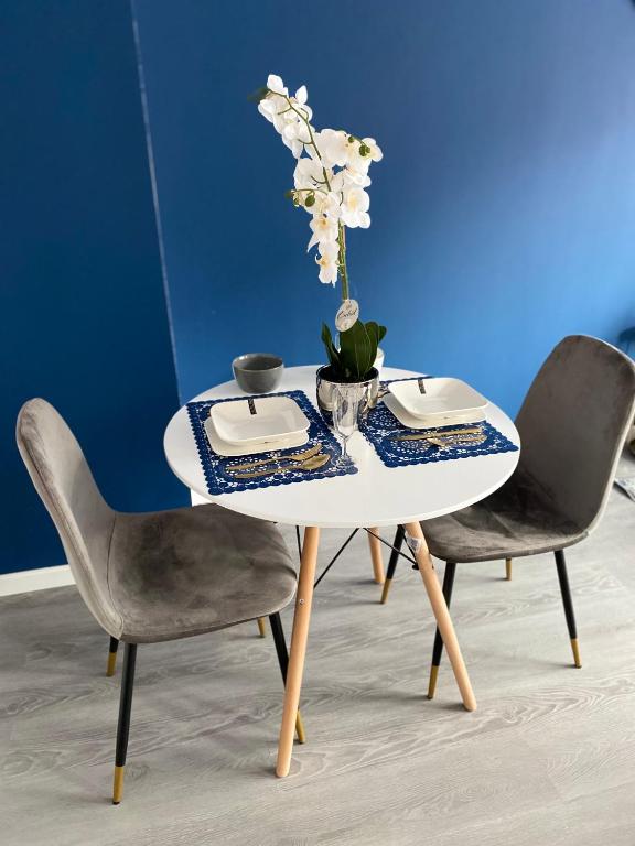 Superbe T2 style scandinave - 2