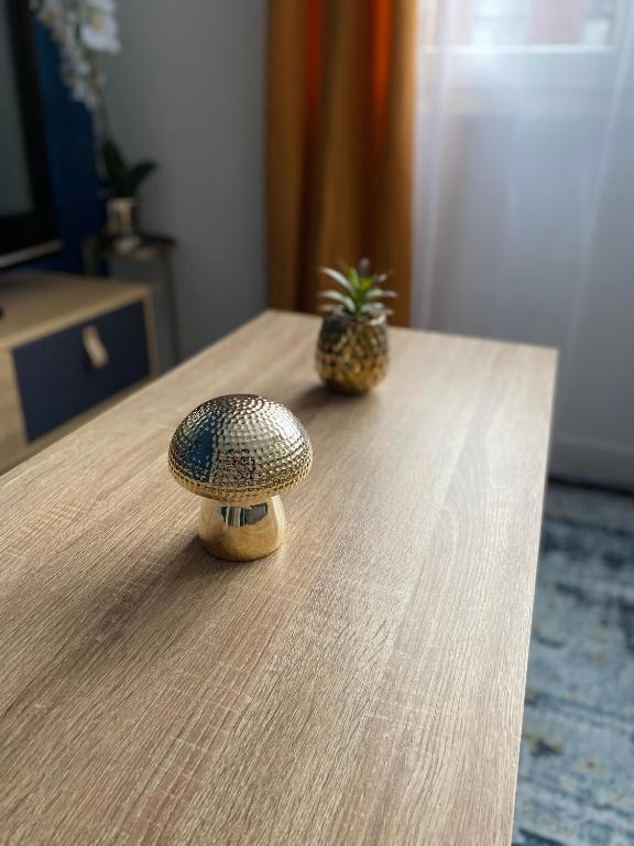Superbe T2 style scandinave - 3