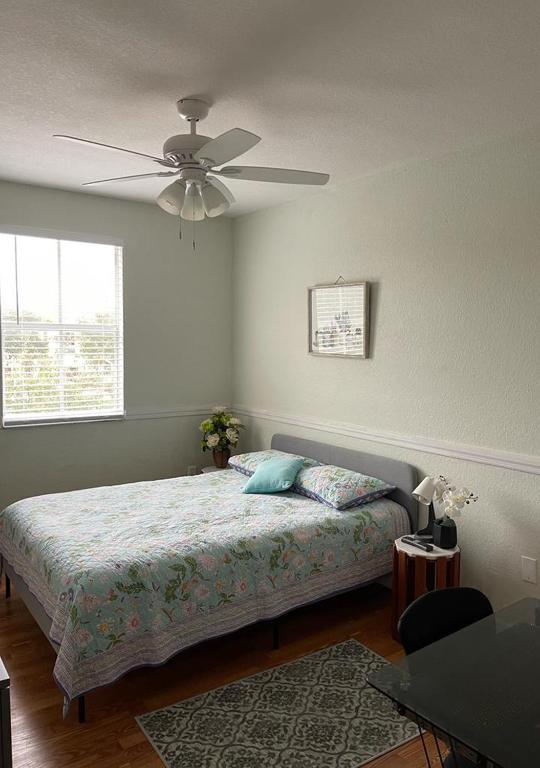 Casa Miami 3