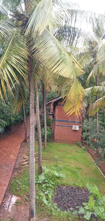 Surrounding environment