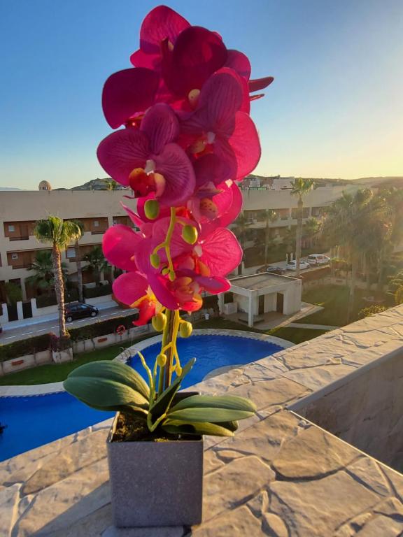 Ático dúplex con piscina privada y vistas al mar en Paraíso de Vera! - 4