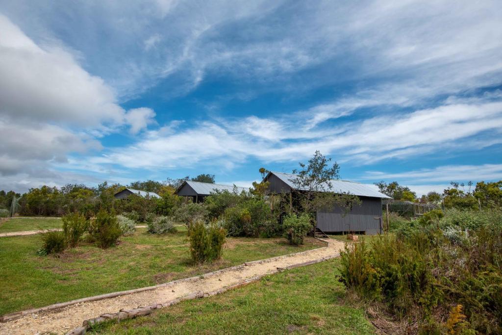 Tenikwa Wildlife Centre photo