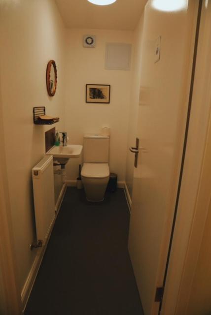 The Dolphin Inn Hostel photo