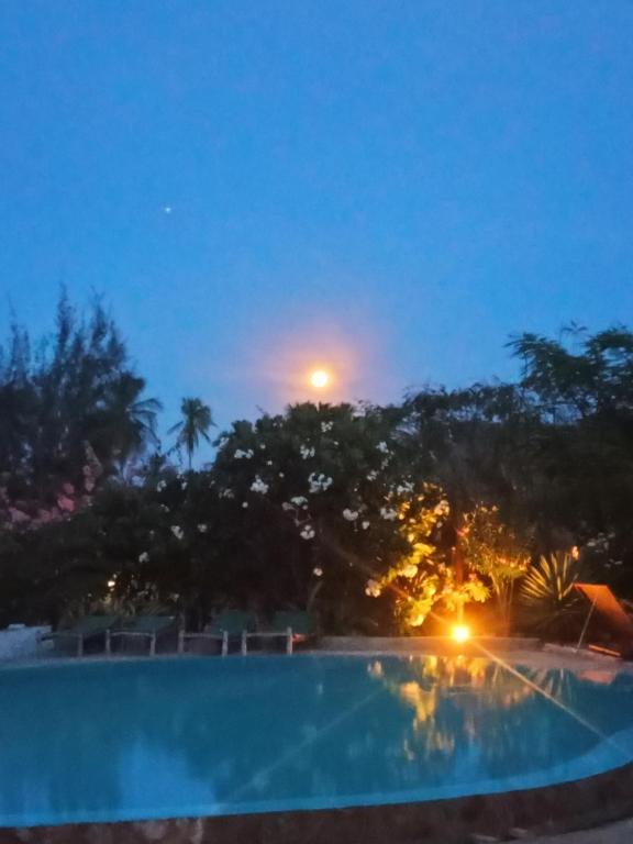 Lucrezia's Garden Zanzibar photo