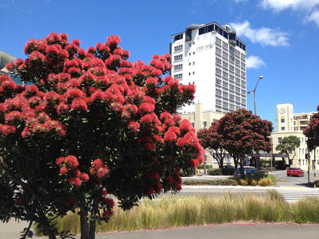 Bay Plaza Hotel — Hotel in Wellington