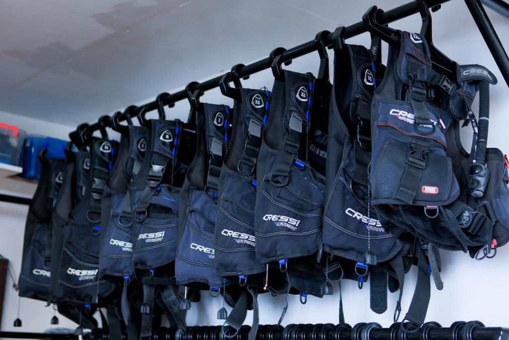 Sports and activities