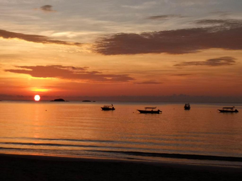 BUSHMAN TIOMAN photo