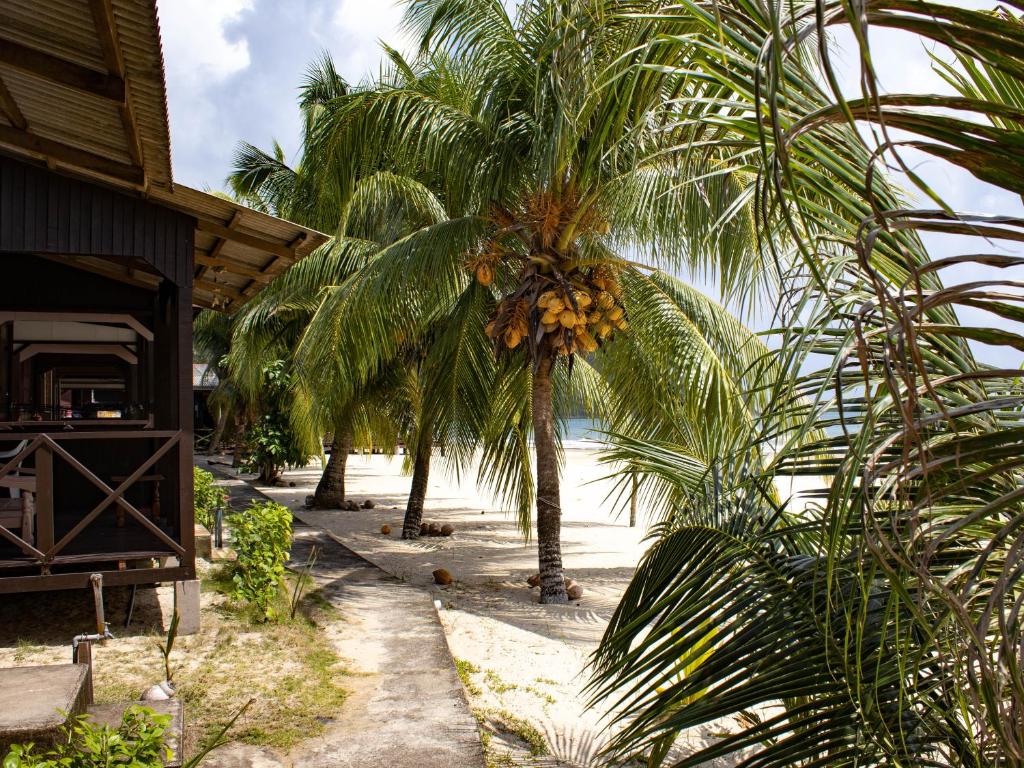 BUSHMAN TIOMAN 전경