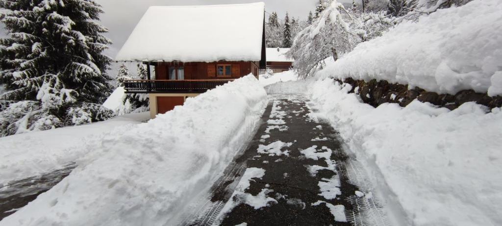 Chalet l'Alpe - 4