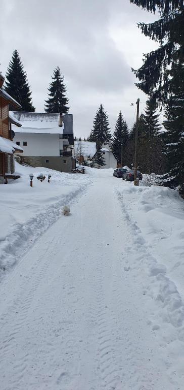 Vila Leni Kopaonik - 3