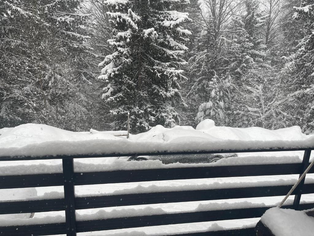 Vila Leni Kopaonik - 4