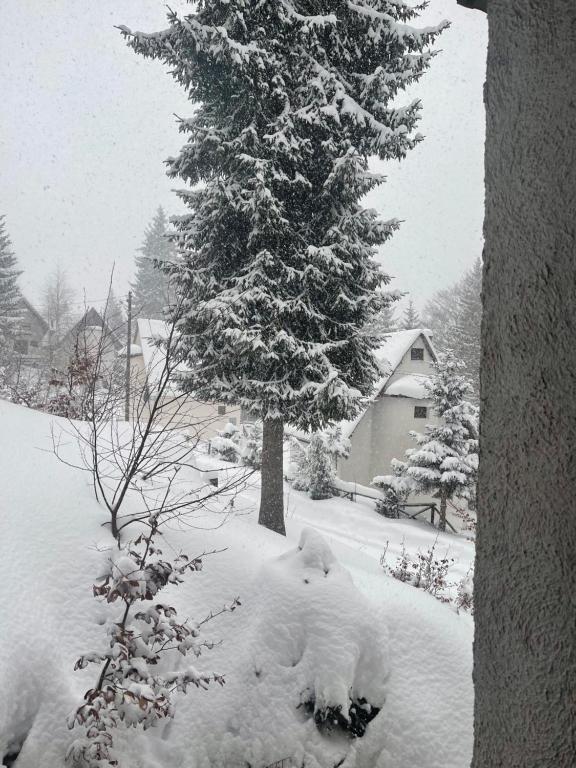 Vila Leni Kopaonik - 5