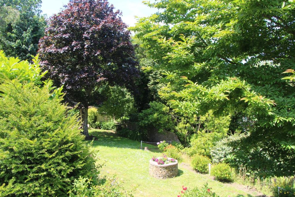 Marton Guest House photo