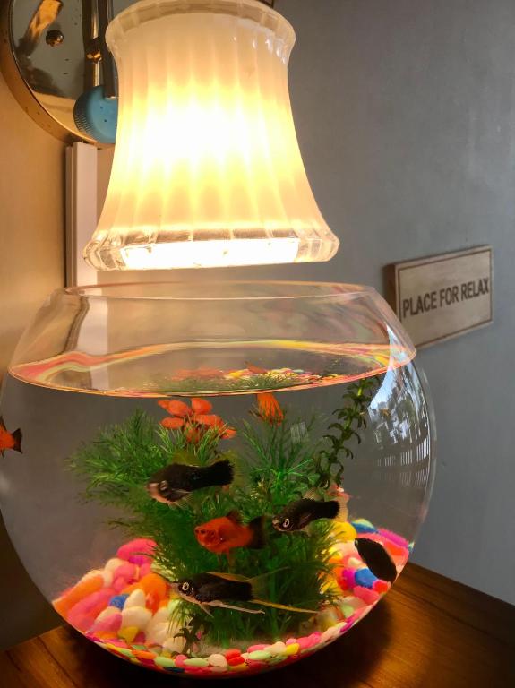 OYO MotelVIP photo