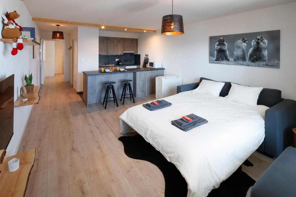 Magnifique appartement proche du centre et du ski - 4