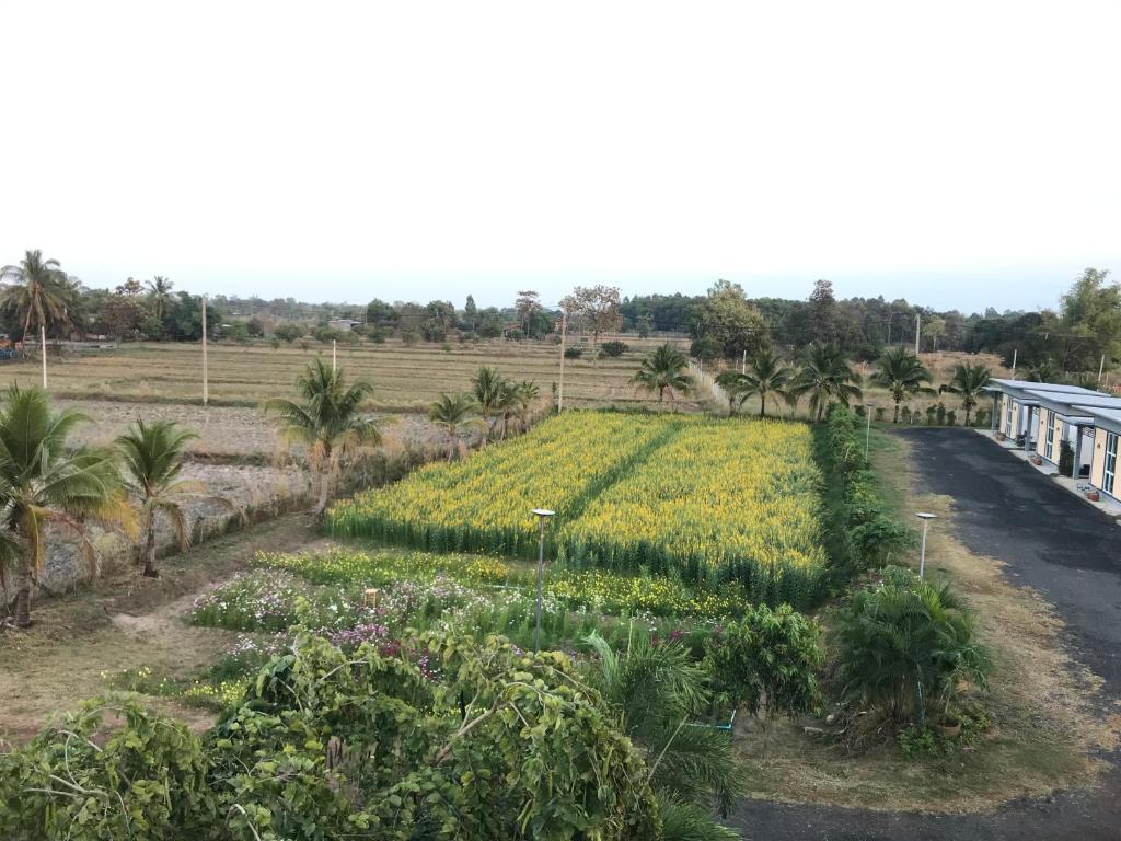 Ok Farm Resort photo