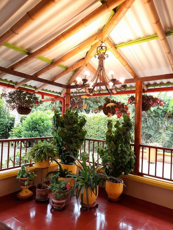 FINCA HOTEL DON JULIO photo