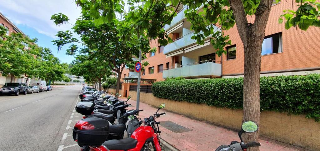 AL33 - Apartamento coqueto a 200 m de la playa - 5