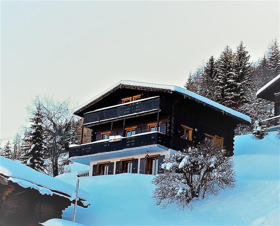 LA TZOUMAZ - VERBIER 4 Vallées - Grand Chalet 5 chambres, Ski IN/OUT, Sauna - 5