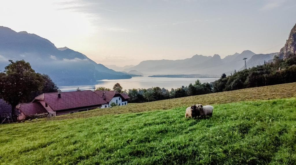 Archehof Eislbauer - Deine Ladezone fur die Seele! photo