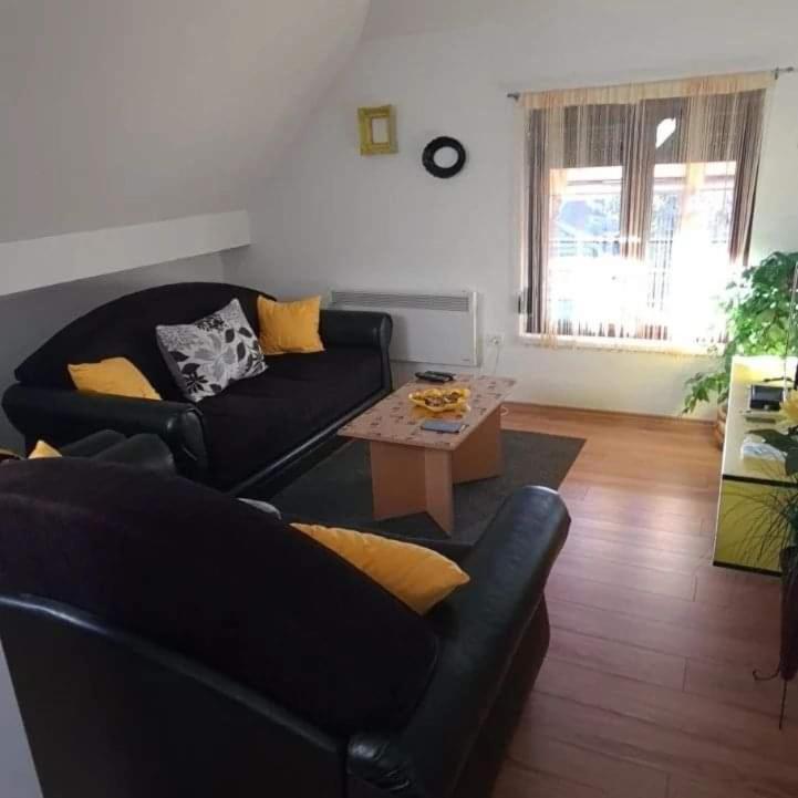 Apartman Anja, Zlatibor