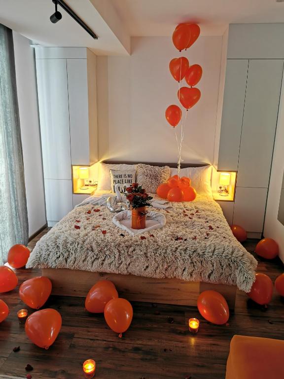 Apartmani TIM & SPA CENTAR - 4