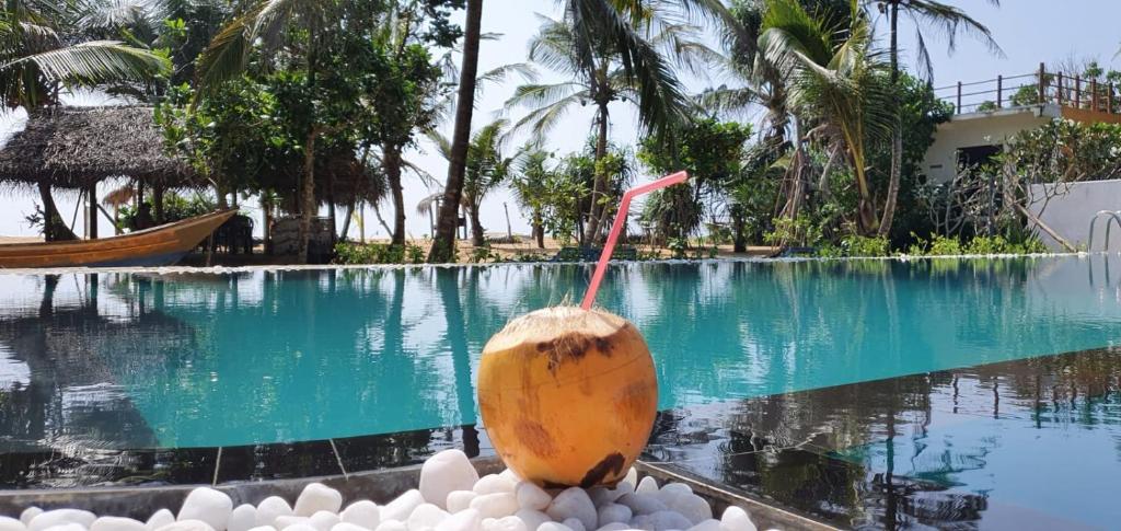 Dreamvillage — Hotel in Hikkaduwa