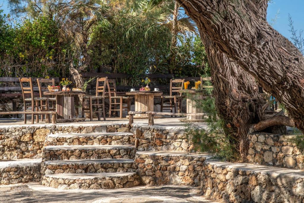 お料理のイメージ