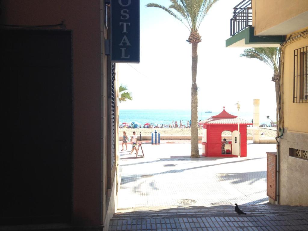 Hostal Delfin Verde - 3