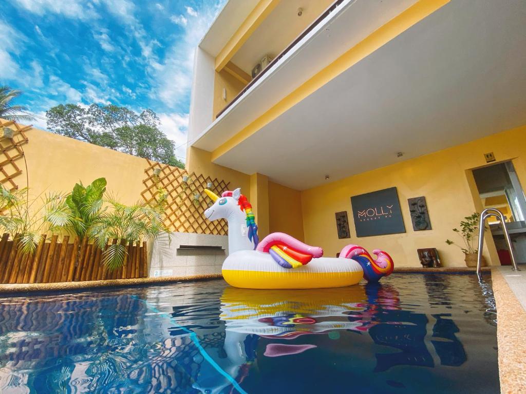 Molly Resort photo
