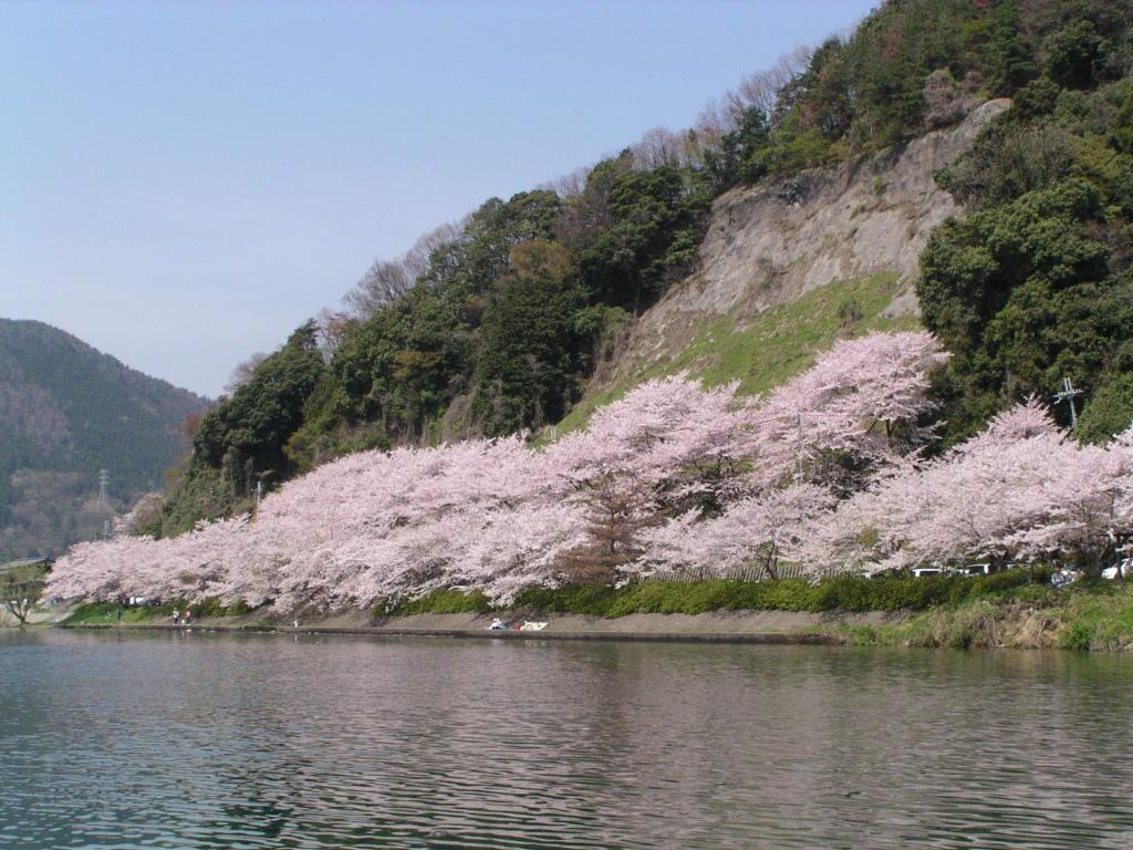 Surrounding environment